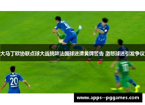 大马丁欧协联点球大战挑衅法国球迷遭黄牌警告 激怒球迷引发争议