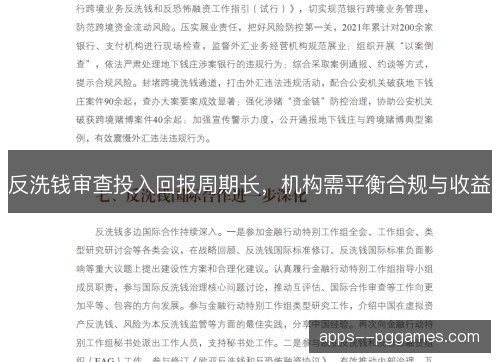 反洗钱审查投入回报周期长，机构需平衡合规与收益